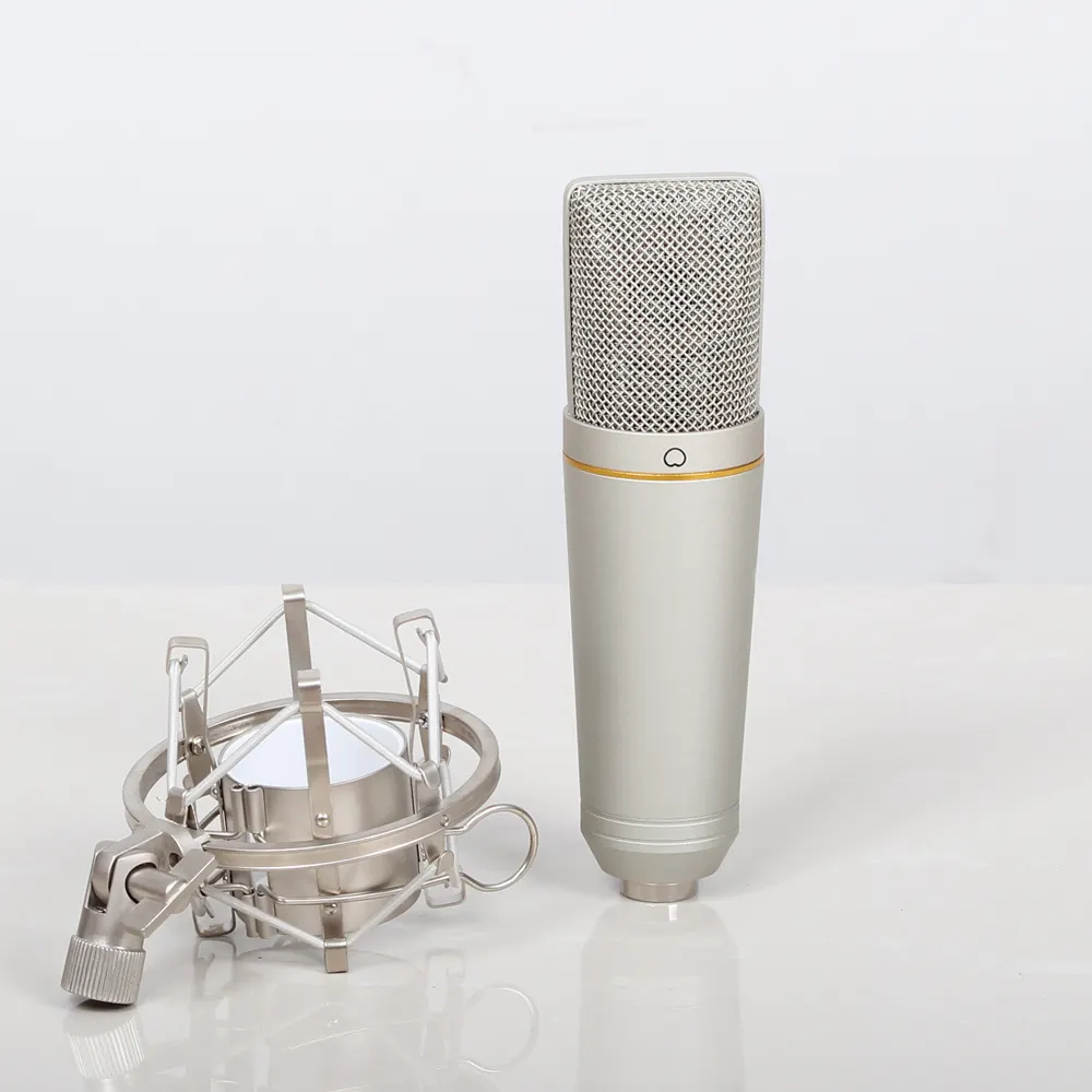 Condenser Microphone Professional Recording Microphone Broadcast Studio Microphone YARMEE YR01