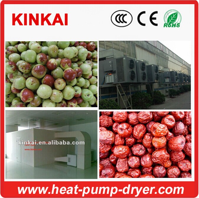 Industrial heat pump drying red dates dehumidifier dehydrator dryer machine with CE