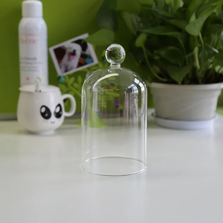 wholesale clear glass bell jar glass dome with base