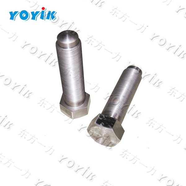 4Q13631 Special Screw for Steam Turbine Generator Parts