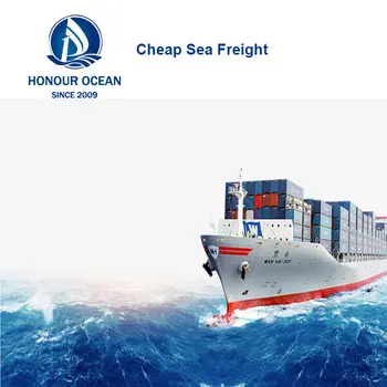 Freight Forwarding Door To Door Delivery Service Sea Freight Shipping Container From Ningbo Shenzhen Guangzhou To Canada