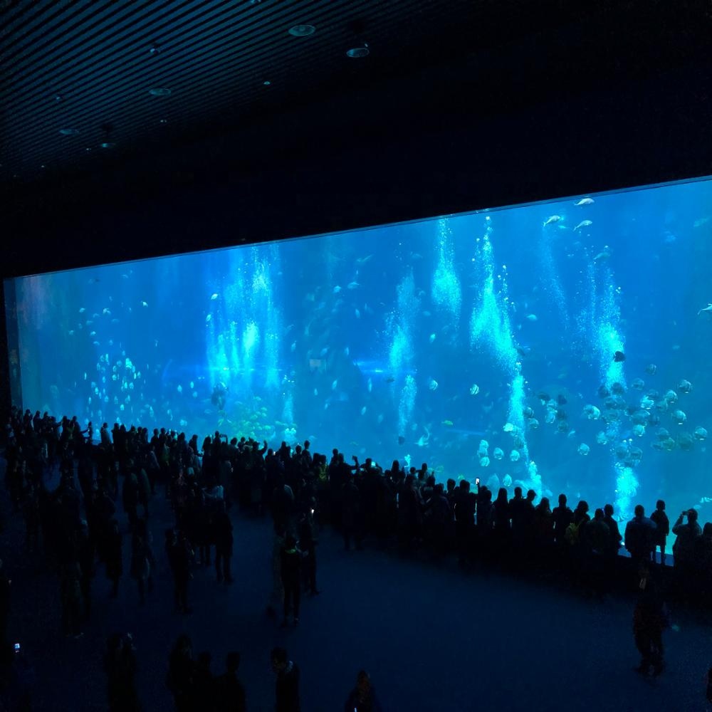 Книга Гиннесса New World Records мм 650 мм Толстая акриловая панель проект