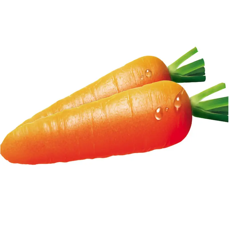 Wholesale organic carrots