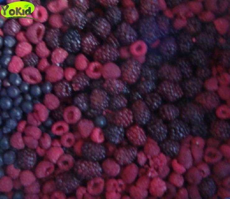 IQF замороженные 4 смешанные ягоды продукты клубника, blackberry, raspberry, черника