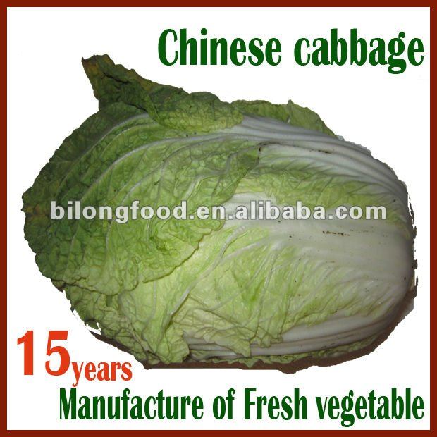 2018 длинные белые китайской капусты ОТ Новая ферма (Шаньдун, xiamen, Хэбэй)