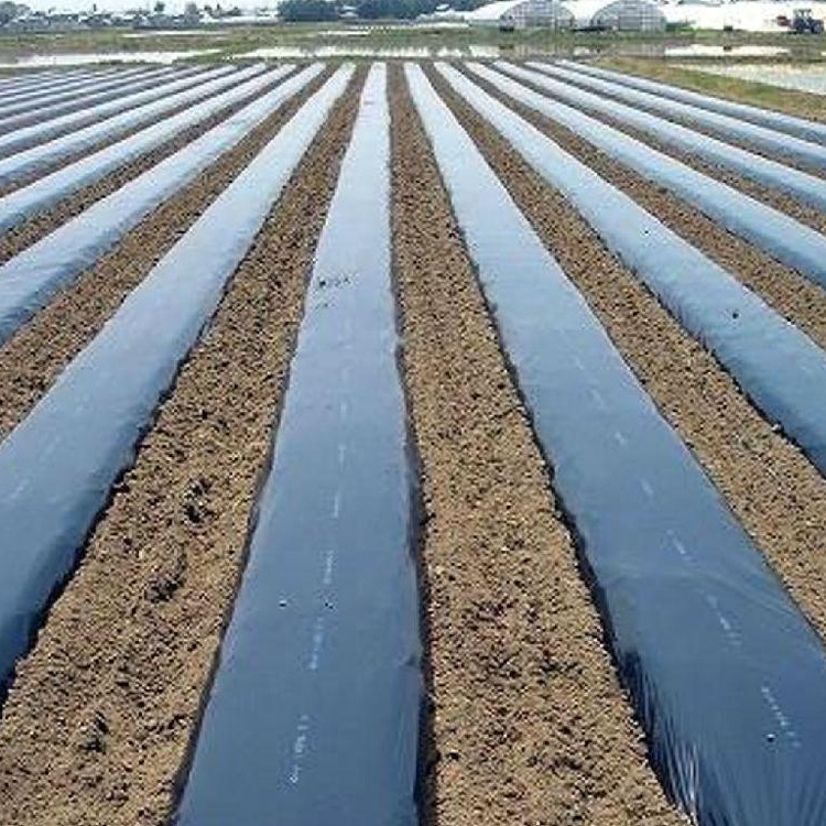 Черная пластиковая мульча пленка сорняк контроль земли крышка