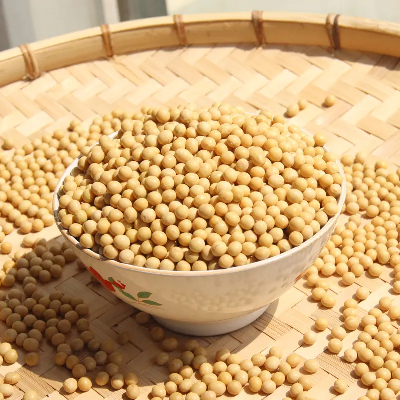 Organic soybeans for soybean buyers