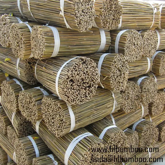 Dan zhu ye Manufacturer Wholesale natural organic raw dried bamboo leaves