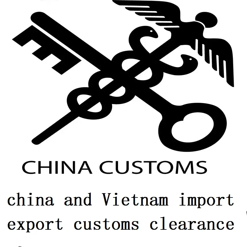sea shipping from china to Vietnam import export customs clearance dropshipping rates