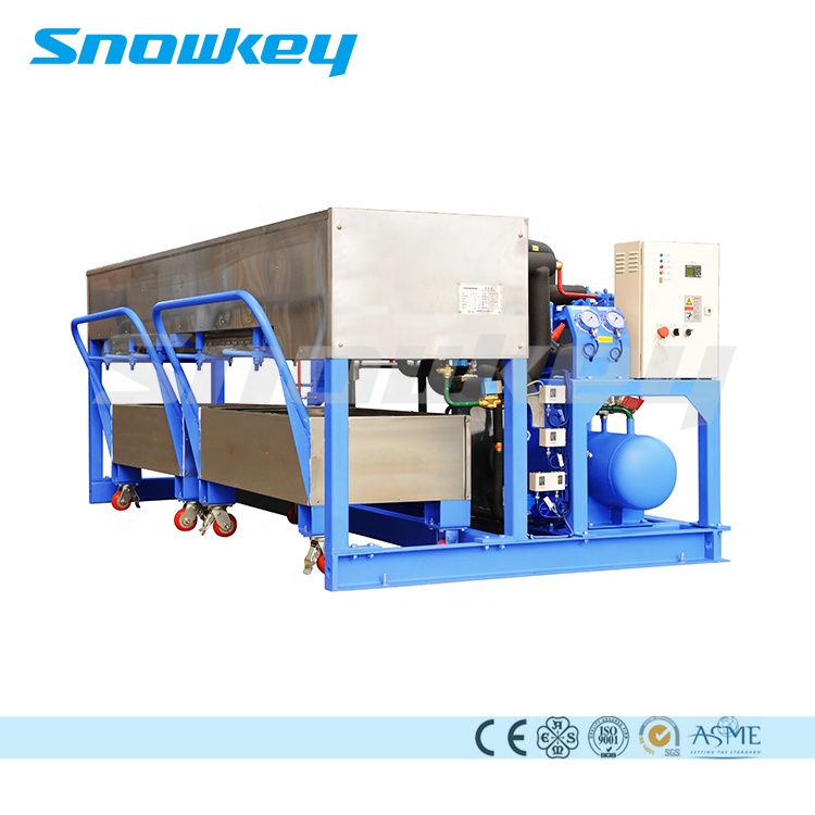 Snowkey Высококачественная машина для производства морепродуктов с прямым охлаждением на 1 тонну