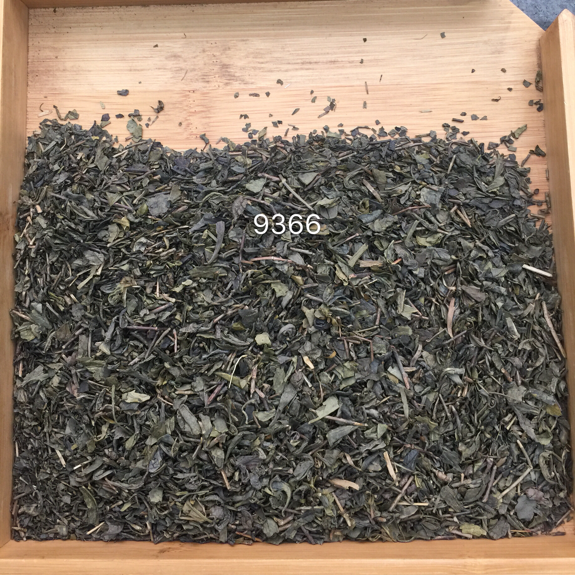 9366 3314 Узбекистан, низкая цена, chunmee chinese meicha, органический зеленый чай