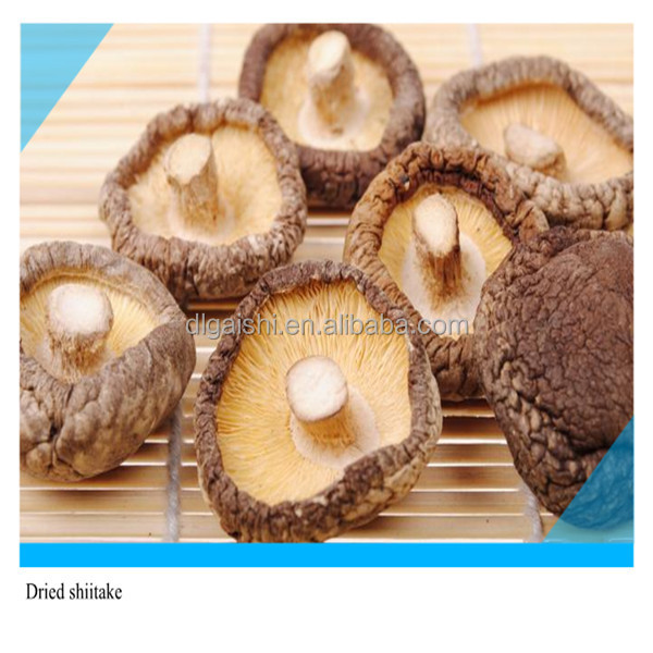 high quality dried shitake mushroom is organic dried food high quality shiitake mushroom wholesale price