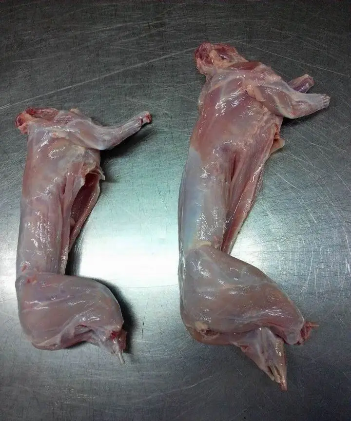 Rabbit Meat Frozen Whole Rabbit Meat Frozen Rabbit Meat