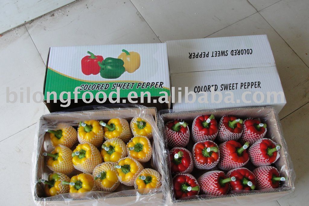 fresh sweet pepper chinese 