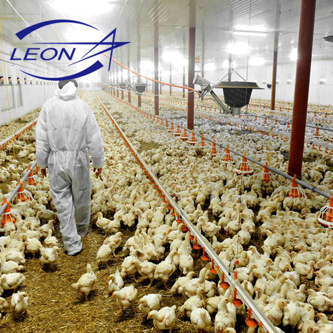 Серия Leon, полное автоматическое оборудование для птицефермы для бройлеров и селекционеров