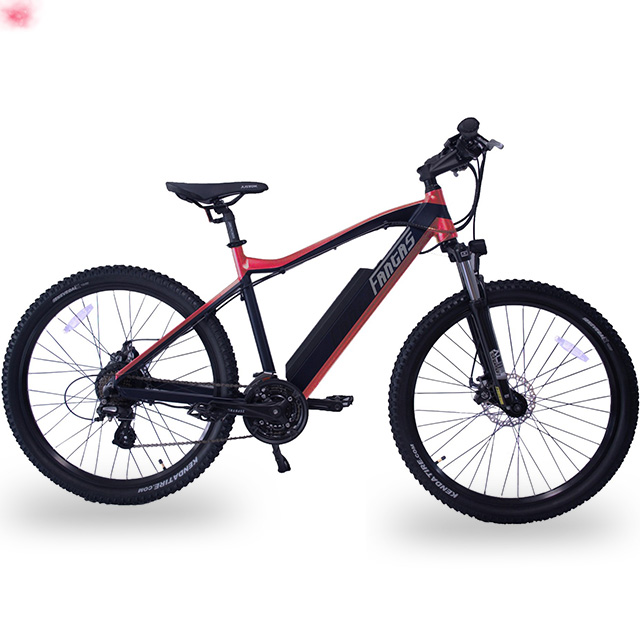 Fantas-Bike City-hunter002 36V750W городской велосипед