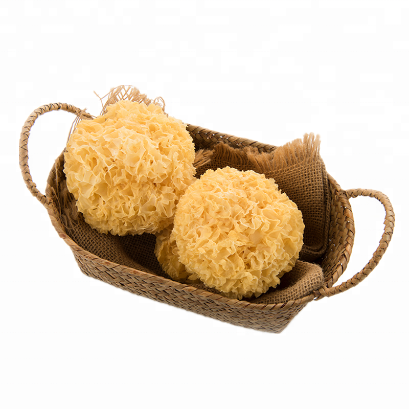 Golden supply attractive white fungus mushroom dried on sale