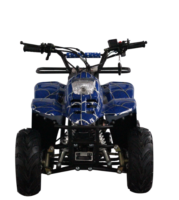 Дешевого 4-тактного/детскй 4-колесный 110cc гоночный quad велосипед, способный преодолевать Броды для продажи