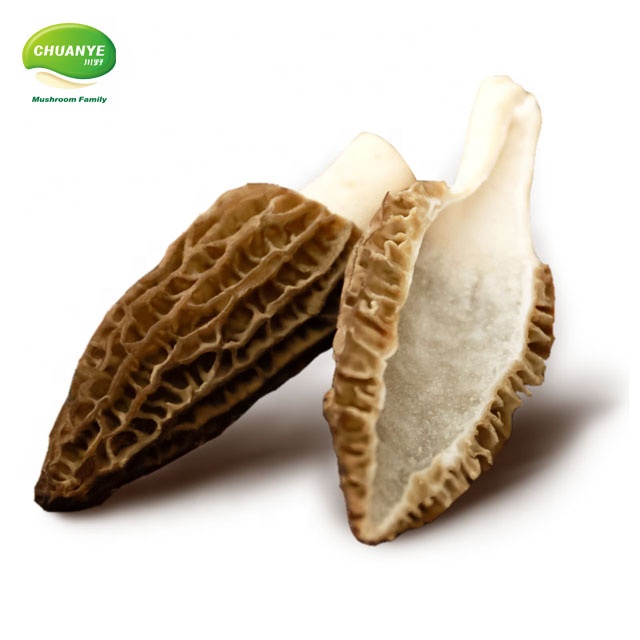Свежий Дикий Морель гриб morchella esculenta для продажи