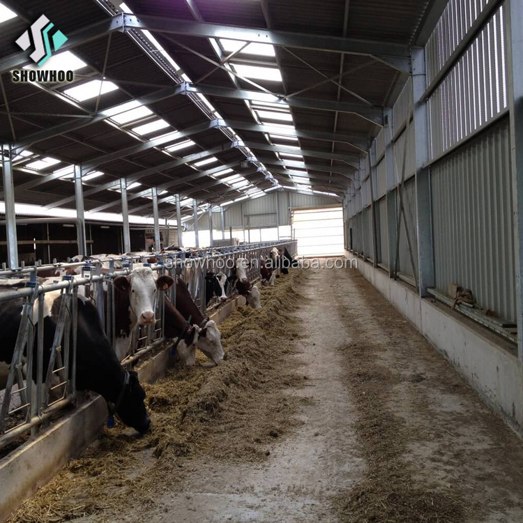 Недорогая сборная стальная коровья ферма Cowshed для строительства молочных коров