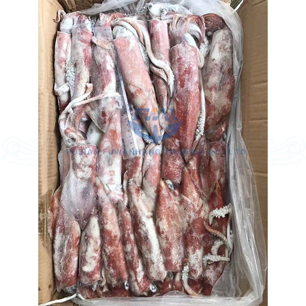 Хороший вкус замороженный Loligo кальмар 10кг 5% остекление
