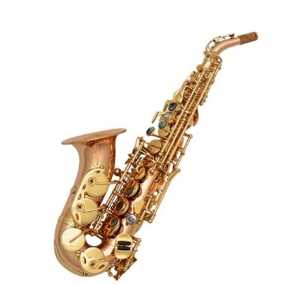 Musical instrument Curved Soprano saxophone