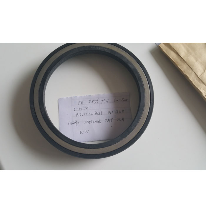 Масляное уплотнение PAT 4856794, S-12300, S-12299, B370022BG1 масляное боковое 14290 уплотнение вала