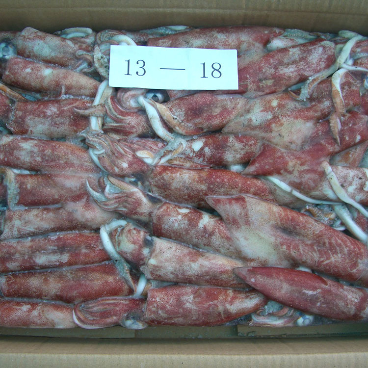 2021, свежие морепродукты, замороженный цельный кальмар, китайский лего кальмар, замороженный иллекс, кальмар для продажи