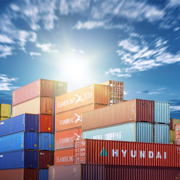 Sea freight forwarder shipping agent from China to italy / cameroon / iraq / amazon fba