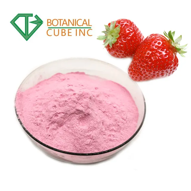 High Quality Pure Natural Strawberry Powder/ Strawberry Fruit Powder