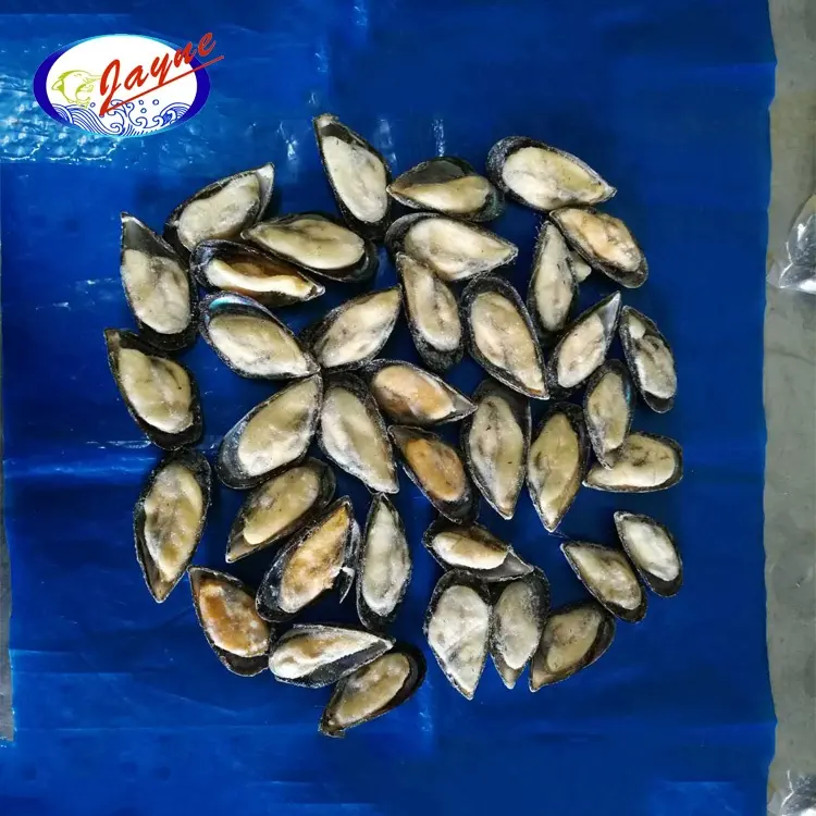 Best Quality Half Shell Mussel Price With 10 15% 20%Glazing No Compensated
