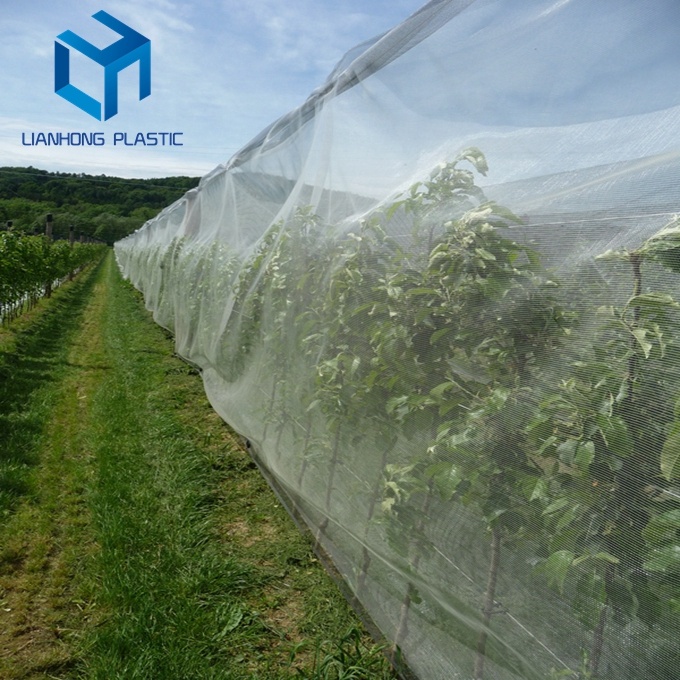 Новое поступление, УФ-обработанная парниковая сетка для насекомых hdpe, сельскохозяйственная полиэтиленовая сетка для защиты от насекомых, сетка для насекомых по низкой цене