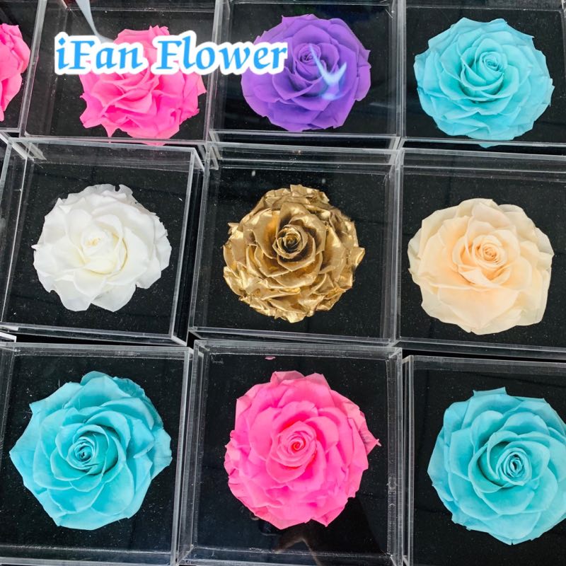 Unique Purple queen color wholesale preserved rose flower ecuador wholesale flowers