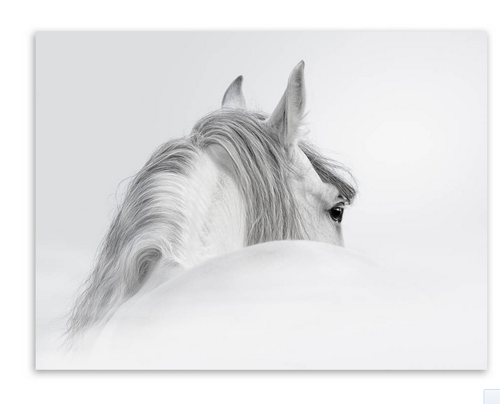 Триптих современная белая голова лошади фото A4 постер Impression Animal Настенная картина скандинавский Декор для дома Холст Картина без рамки подарок
