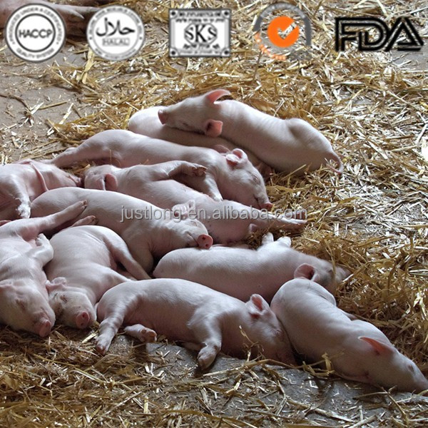 Завод HACCP, корм для животных, сухой порошок гемоглобина свиней