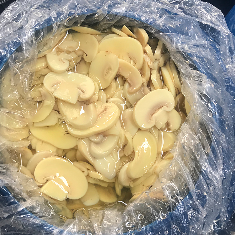 Белый гриб agaricus в экономии