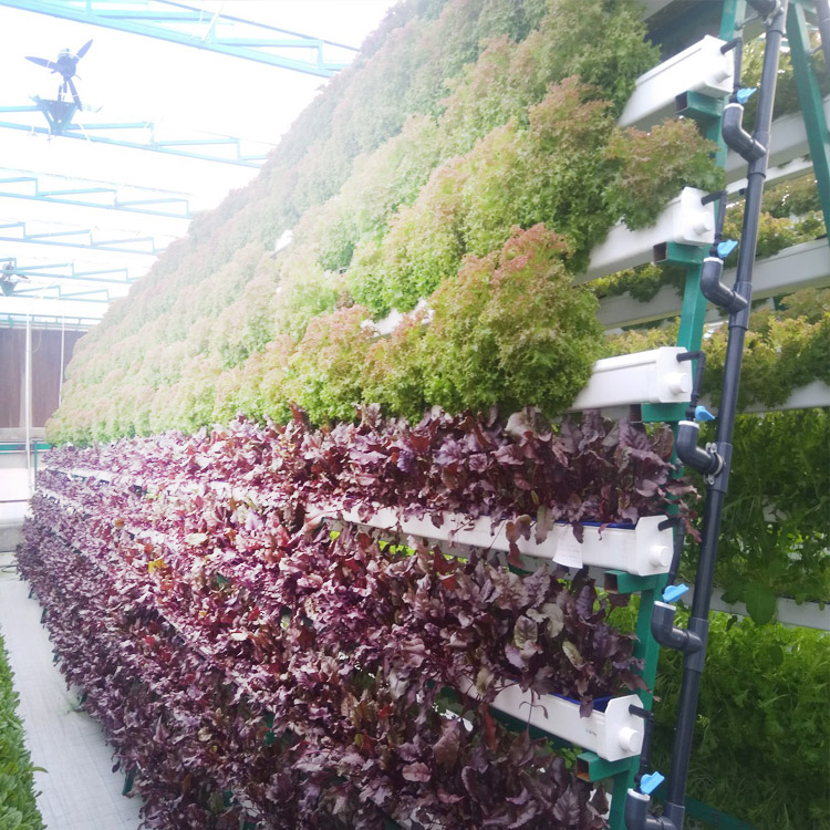 Канал Nft для теплицы Aquaponics
