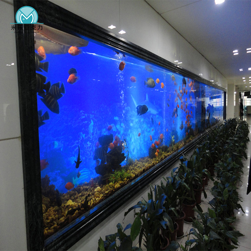 Acrylic Filter Aquarium Fish Tank