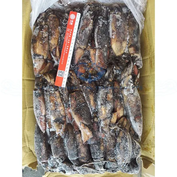 low price frozen black squid for sale