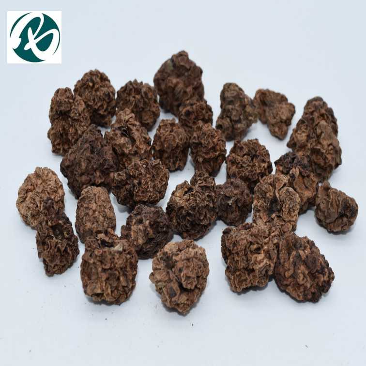 Silvervine Actinidia фрукты