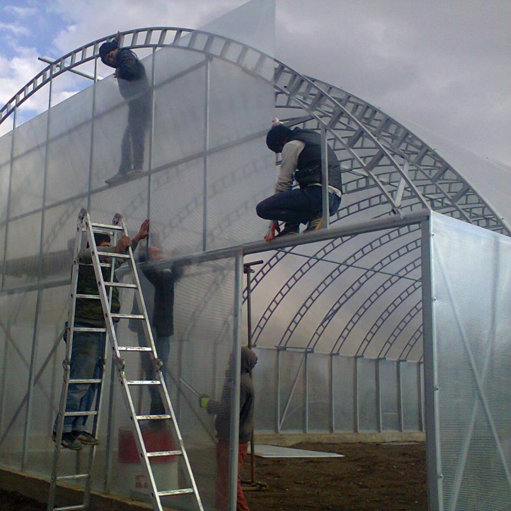 Commercial polycarbonate greenhouse for agriculture