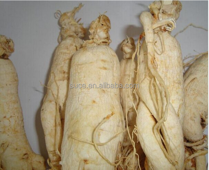 Top quality 100% natural sun dry white panax ginseng root with tail for tonic
