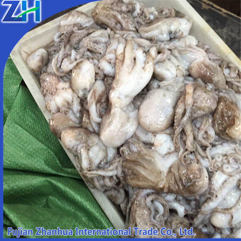 Свежий живой замороженный Осьминог/морепродукты детский Осьминог оптовая цена