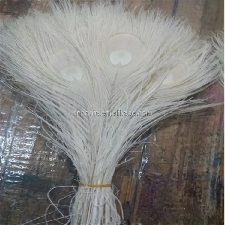 Hot supply bleached peacock eyes white peacock feather for sale