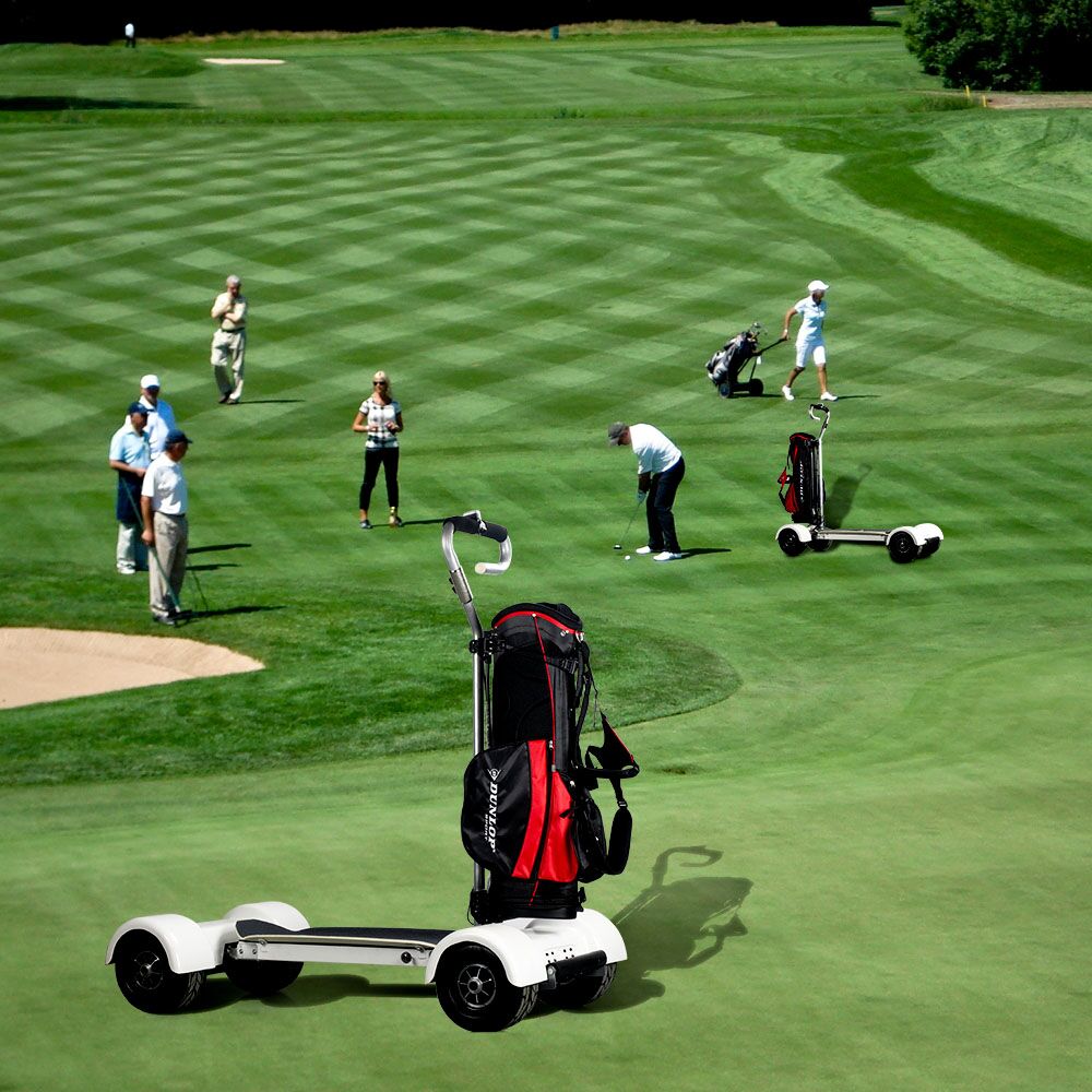 Четырехколесный скутер Kick Golf Электрический скейтборд 1000 Вт 60 в гольф электрическая тележка