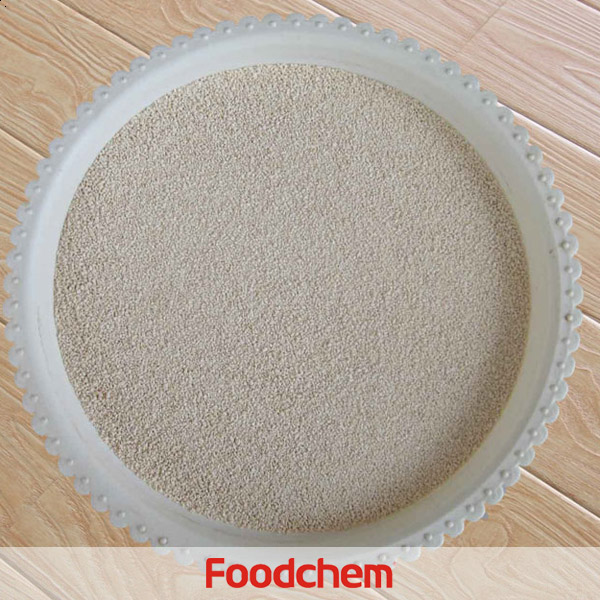 Best Price 98.5% Feed Grade L-Lysine HCL(Monohydrochloride)