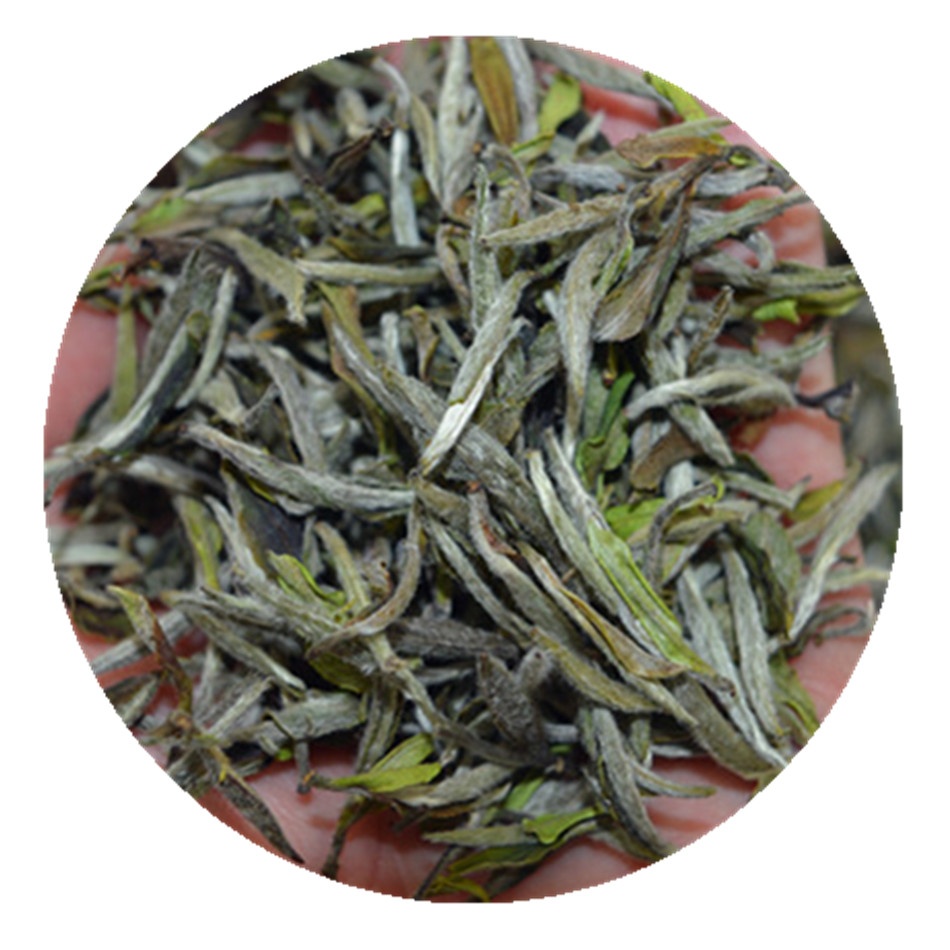Органический полноценный белый чай Fuding, листья белого чая Bai Mu Dan, фальшивый чай