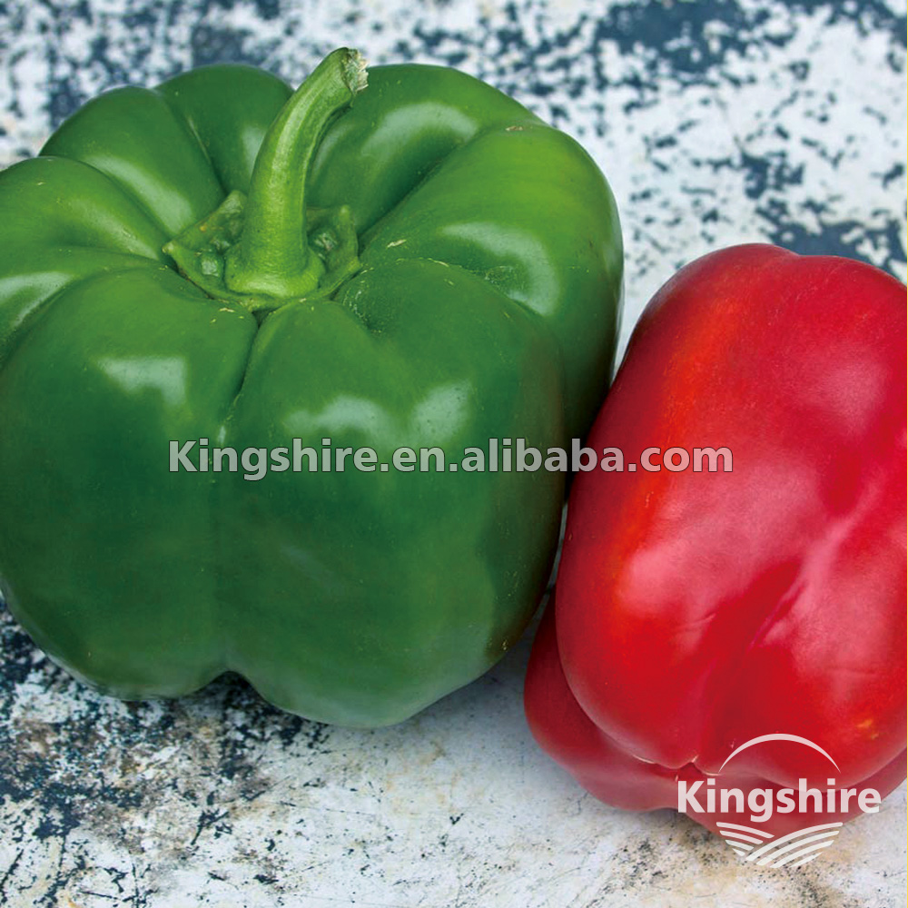Калифорнийский чудо-сладкий перец (Capsicum annuum)