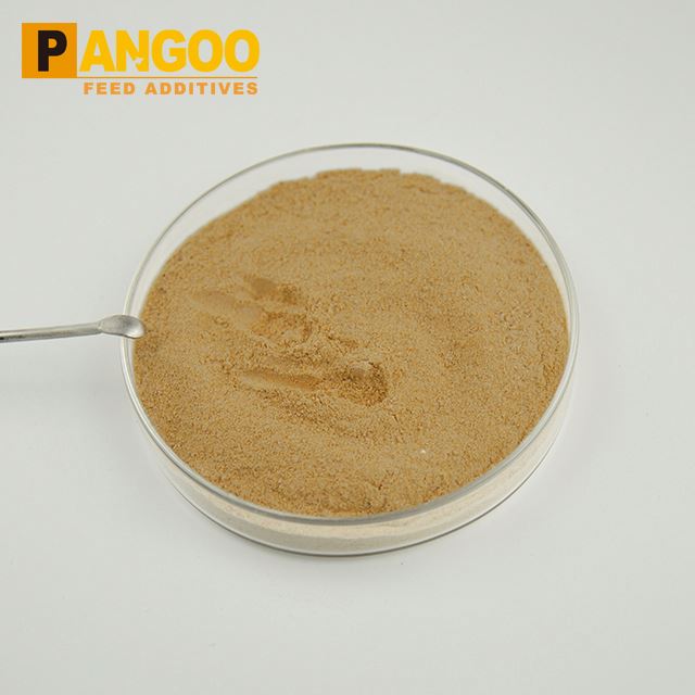 Corn / Wheat Gluten Meal