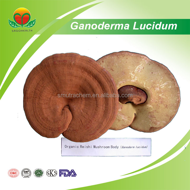 Лидер продаж Ganoderma Lucidum